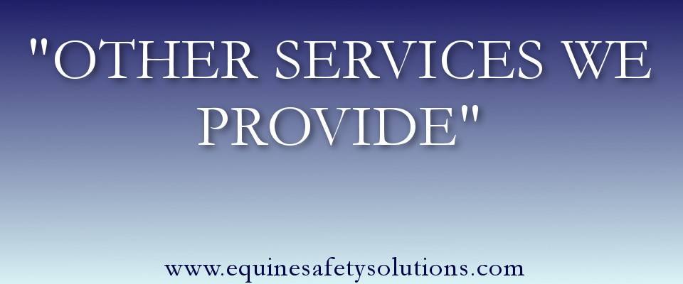 OTHER SERVICES